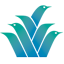 Claussen Walters LLC