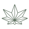 The Clean Cannabis Company