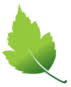 CleanTEK Emissions Systems