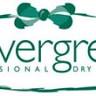 Clevergreen Cleaners