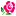 Click Rose.com