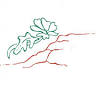 Cliffrose on Market