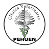 Clinica Veterinaria Pehuen