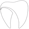 Clínica Dental Dr. Vargas-Machuca
