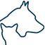Veterinary Clinic El Torreón