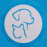Clinica Veterinaria Morella