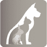 Lay Veterinary Clinic Doctors and Harmand