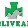 Residencia Canina Cliveal