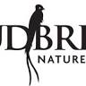 Cloudbridge Nature Reserve