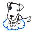 Cloud Nine Training School for Dogs