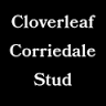 Cloverleaf Corriedale Stud