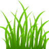 Clwyd Lawn Care Ltd