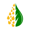 CMP Oilseeds