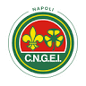 Scout Laici CNGEI di Napoli - Gruppo 5