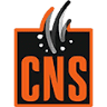 Cns Avm