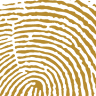 CNT Depository