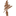 Canadian Cedar - Co2 Timber