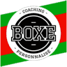 Coaching Boxing 64
