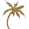 Coastal Palm Insurance Company