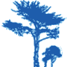 Coast Financial Services, Inc.