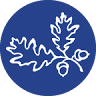 The Cobb School, Montessori