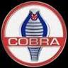 The Cobra Experience - Museum & Event Space