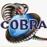 Cobra Gym Express Senawang 24 Hour Fitness