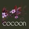 INSTITUT COCOON - Source d'harmonie