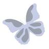 COCOON baby