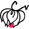クールヴェルジュ（Coeur Vierge）