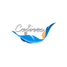 Cofires Expert SRL