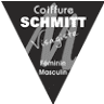 Schmitt M.