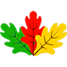 Quesería Artesanal de Coladilla