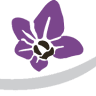 Colchonería Las Orquídeas