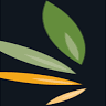 Cold Smoke Organics