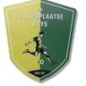 Voetbalvereniging Colijnsplaatse Boys