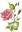 Parfums Coline