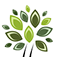 Collaborative Counseling - Oakwood Mall Drive - Eau Claire