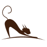 College Station Cat Clinic