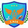 Collins American International Academy