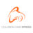 Collision Care Xpress FTL