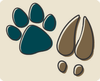 Colmey Veterinary Hospital