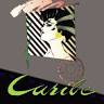 Caribe Fashion Inc