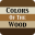 Colors Of The Wood