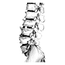Comeback Physical Therapy