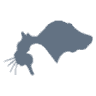 Comfort Care Veterinary Services