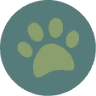 Comfort Veterinary Hospital