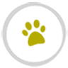 Commerce Veterinary Hospital: Shirley Anne DVM