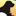 Companion Animal Hospital