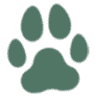 Companions Animal Hospital